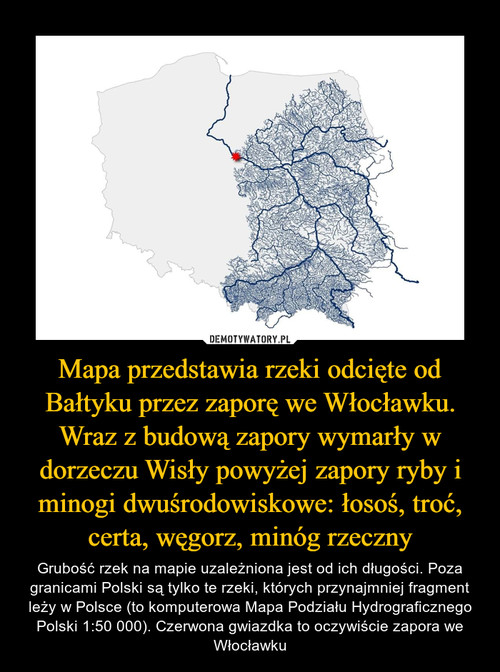 Mapa przedstawia rzeki odcięte od Bałtyku przez zaporę we Włocławku. Wraz z budową zapory wymarły w dorzeczu Wisły powyżej zapory ryby i minogi dwuśrodowiskowe: łosoś, troć, certa, węgorz, minóg rzeczny
