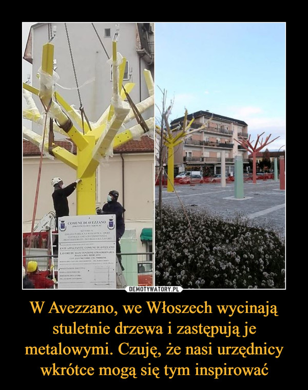 W Avezzano, we Włoszech wycinają stuletnie drzewa i zastępują je metalowymi. Czuję, że nasi urzędnicy wkrótce mogą się tym inspirować