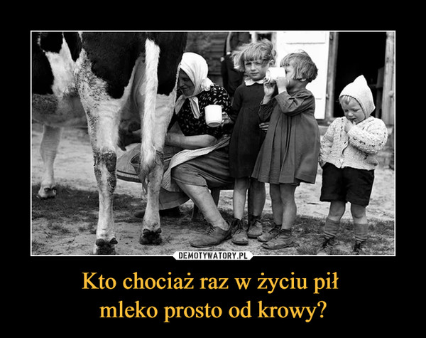Kto chociaż raz w życiu pił 
mleko prosto od krowy?