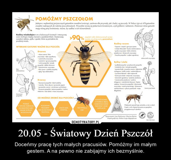 20.05 - Światowy Dzień Pszczół – Doceńmy pracę tych małych pracusiów. Pomóżmy im małym gestem. A na pewno nie zabijajmy ich bezmyślnie. 