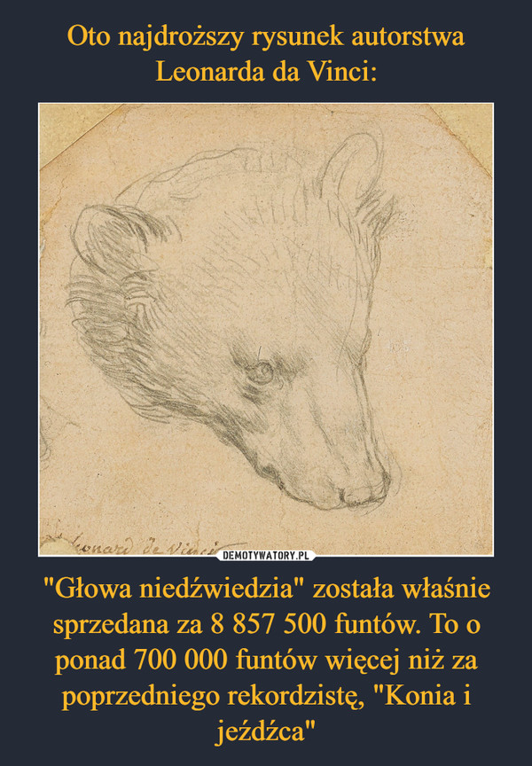 Oto najdroższy rysunek autorstwa Leonarda da Vinci: "Głowa niedźwiedzia" została właśnie sprzedana za 8 857 500 funtów. To o ponad 700 000 funtów więcej niż za poprzedniego rekordzistę, "Konia i jeźdźca"