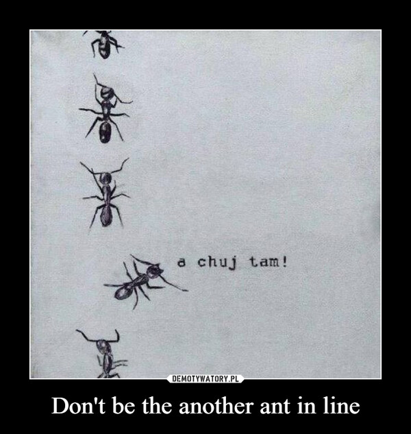 Don't be the another ant in line –  