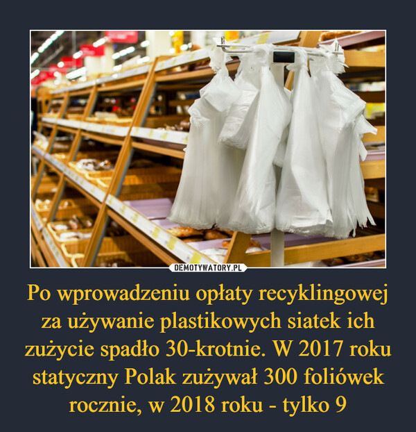 Po wprowadzeniu opłaty recyklingowej za używanie plastikowych siatek ich zużycie spadło 30-krotnie. W 2017 roku statyczny Polak zużywał 300 foliówek rocznie, w 2018 roku - tylko 9 –  