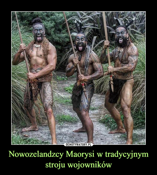 Nowozelandzcy Maorysi w tradycyjnym stroju wojowników –  