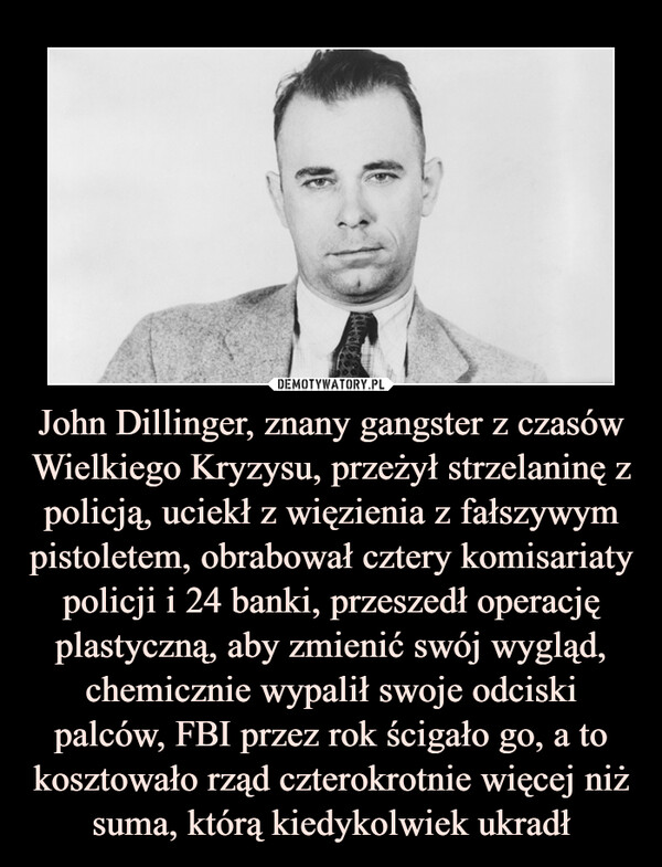 John Dillinger, znany gangster z czasów Wielkiego Kryzysu, przeżył strzelaninę z policją, uciekł z więzienia z fałszywym pistoletem, obrabował cztery komisariaty policji i 24 banki, przeszedł operację plastyczną, aby zmienić swój wygląd, chemicznie wypalił swoje odciski palców, FBI przez rok ścigało go, a to kosztowało rząd czterokrotnie więcej niż suma, którą kiedykolwiek ukradł
