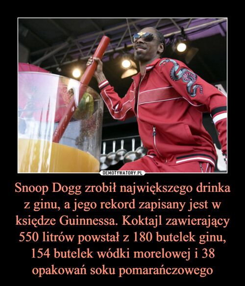 Snoop Dogg zrobił największego drinka z ginu, a jego rekord zapisany jest w księdze Guinnessa. Koktajl zawierający 550 litrów powstał z 180 butelek ginu, 154 butelek wódki morelowej i 38 opakowań soku pomarańczowego