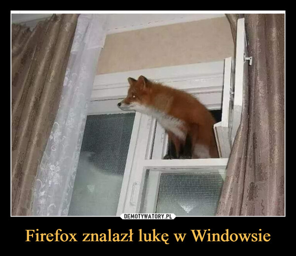 Firefox znalazł lukę w Windowsie –  