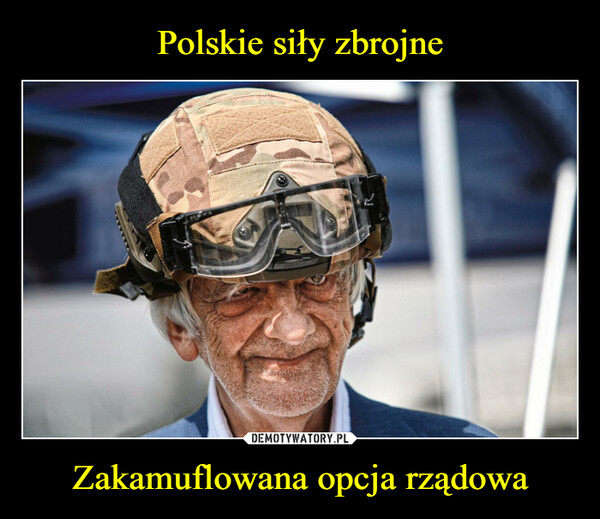 Polskie siły zbrojne Zakamuflowana opcja rządowa
