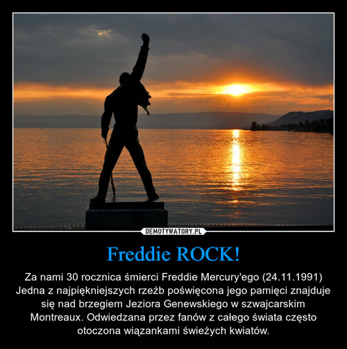 Freddie ROCK!