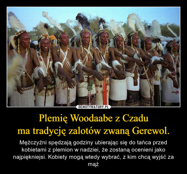 Plemię Woodaabe z Czaduma tradycję zalotów zwaną Gerewol. – Mężczyźni spędzają godziny ubierając się do tańca przed kobietami z plemion w nadziei, że zostaną ocenieni jako najpiękniejsi. Kobiety mogą wtedy wybrać, z kim chcą wyjść za mąż 