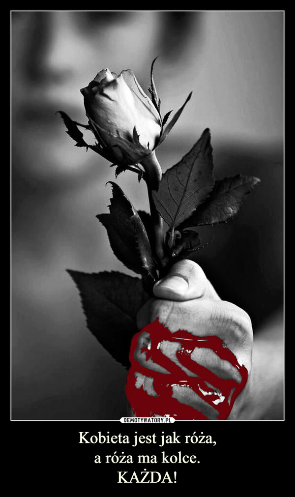 Kobieta jest jak róża,
a róża ma kolce.
KAŻDA!