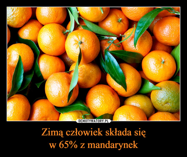Zimą człowiek składa sięw 65% z mandarynek –  