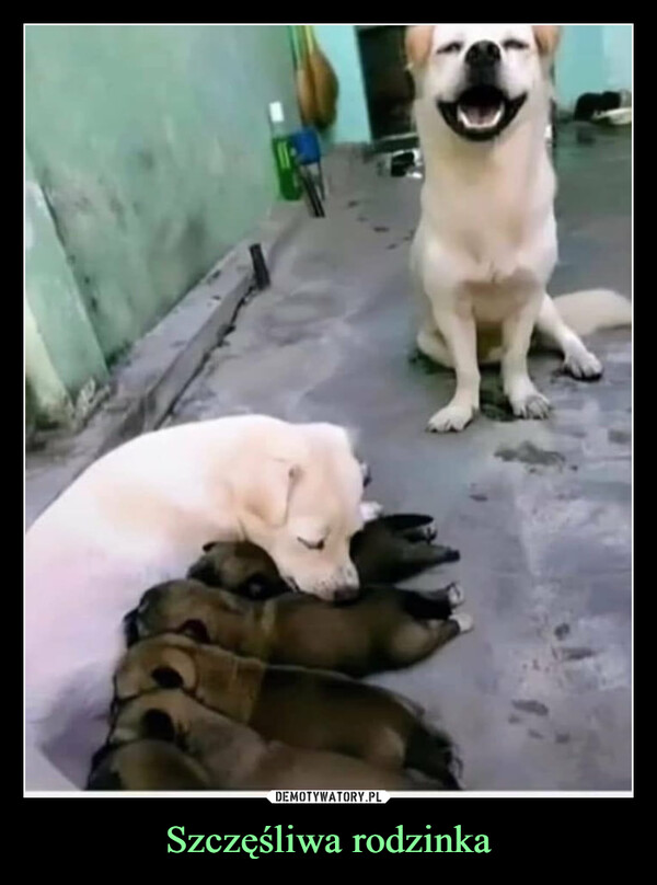 Szczęśliwa rodzinka –  