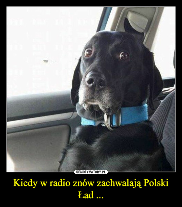 Kiedy w radio znów zachwalają Polski Ład ... –  