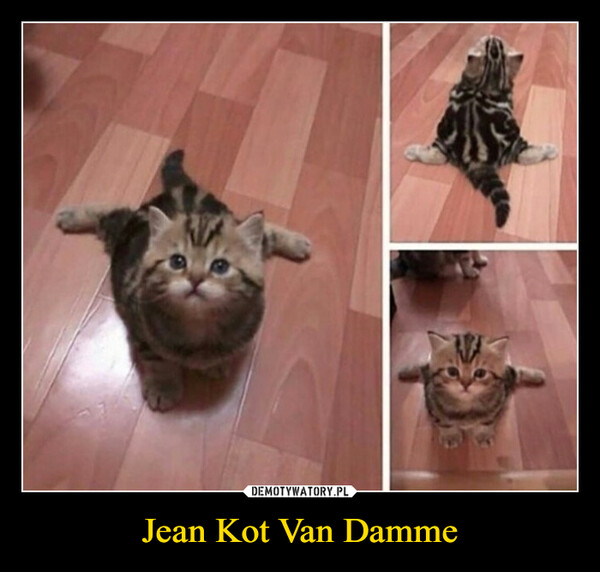 Jean Kot Van Damme –  