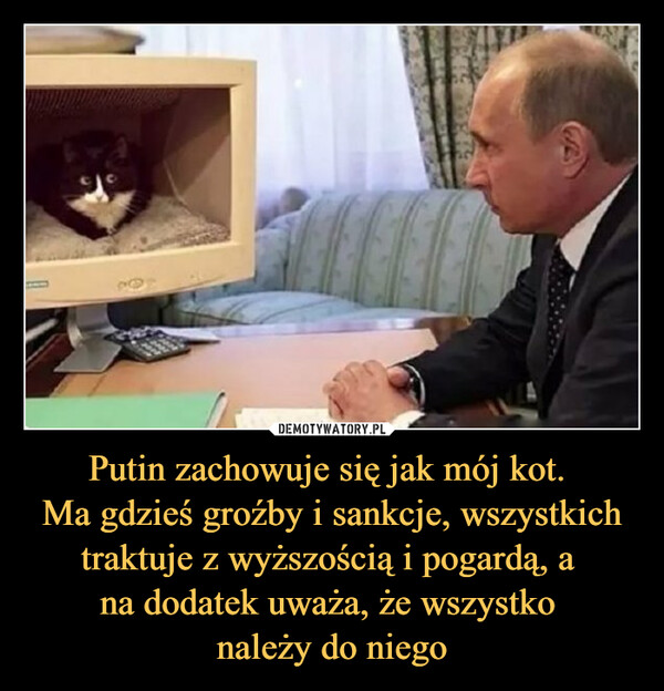 Putin zachowuje się jak mój kot. 
Ma gdzieś groźby i sankcje, wszystkich traktuje z wyższością i pogardą, a 
na dodatek uważa, że wszystko 
należy do niego