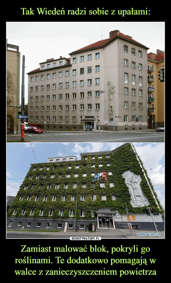 Zamiast malować blok, pokryli go roślinami. Te dodatkowo pomagają w walce z zanieczyszczeniem powietrza –  