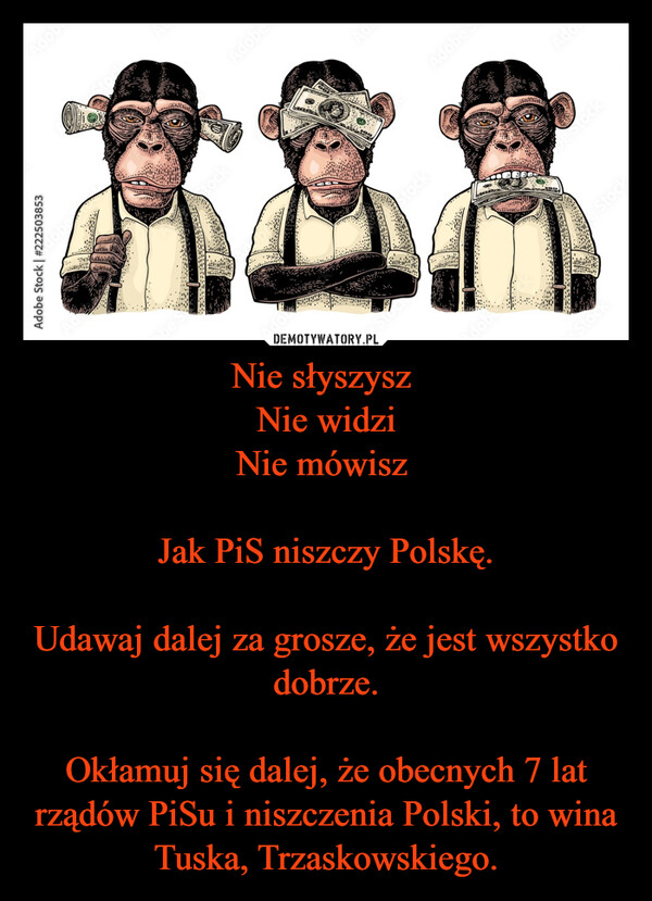 Nie słyszysz Nie widziNie mówisz Jak PiS niszczy Polskę.Udawaj dalej za grosze, że jest wszystko dobrze.Okłamuj się dalej, że obecnych 7 lat rządów PiSu i niszczenia Polski, to wina Tuska, Trzaskowskiego. –  