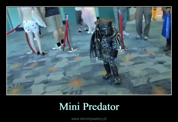 Mini Predator –  