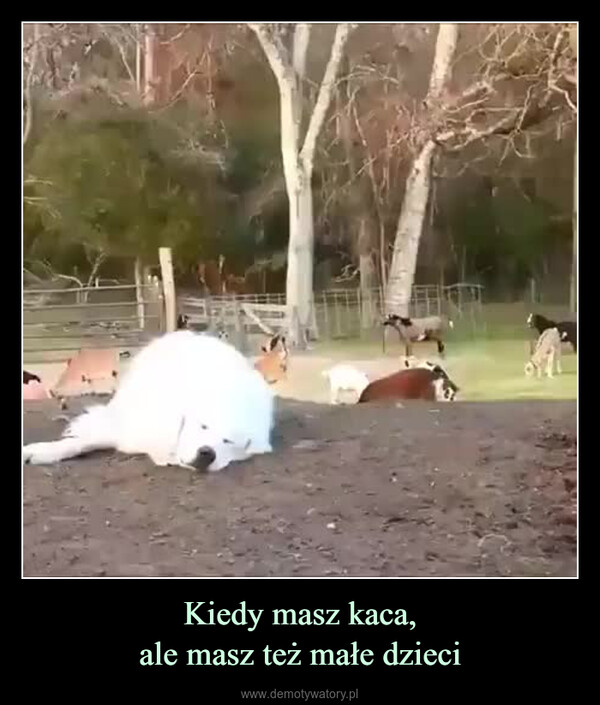Kiedy masz kaca,ale masz też małe dzieci –  