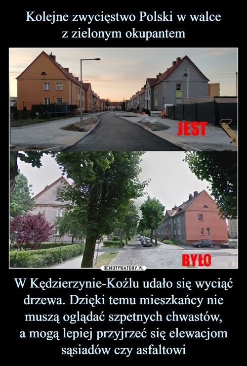 Kolejne zwycięstwo Polski w walce
z zielonym okupantem W Kędzierzynie-Koźlu udało się wyciąć drzewa. Dzięki temu mieszkańcy nie muszą oglądać szpetnych chwastów,
a mogą lepiej przyjrzeć się elewacjom sąsiadów czy asfaltowi