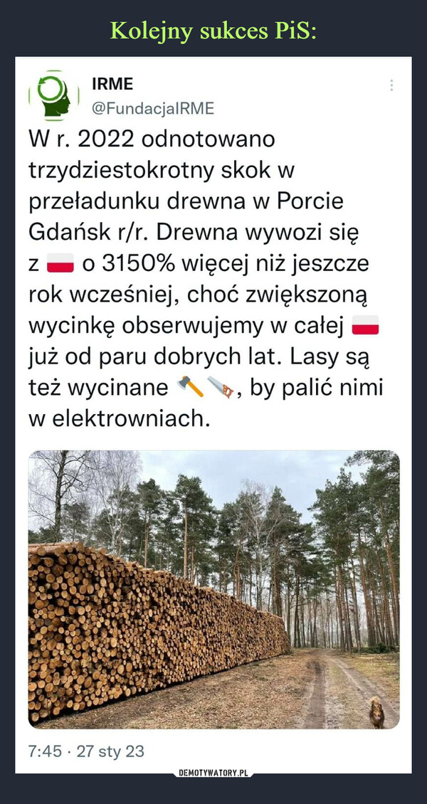  –  W r. 2022 odnotowano trzydziestokrotny skok w przeładunku drewna w Porcie Gdańsk r/r. Drewna wywozi się z 