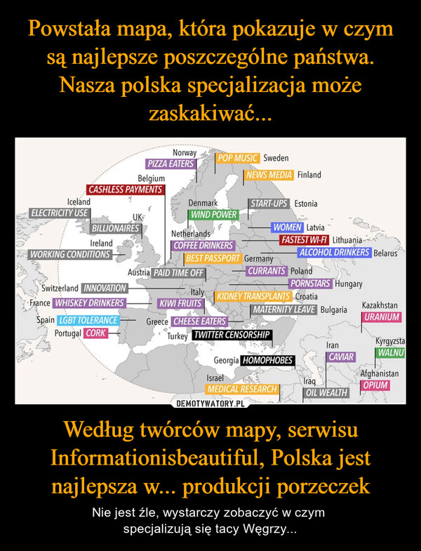 Według twórców mapy, serwisu Informationisbeautiful, Polska jest najlepsza w... produkcji porzeczek – Nie jest źle, wystarczy zobaczyć w czym specjalizują się tacy Węgrzy... 