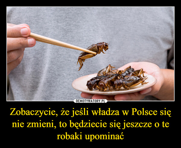 Zobaczycie, że jeśli władza w Polsce się nie zmieni, to będziecie się jeszcze o te robaki upominać