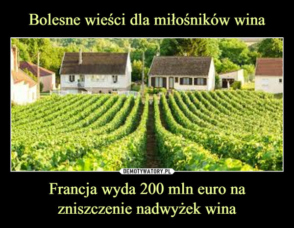 Francja wyda 200 mln euro na zniszczenie nadwyżek wina –  