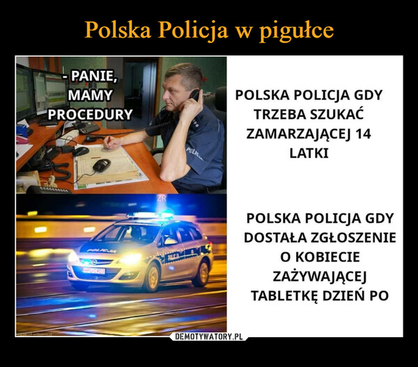 Polska Policja w pigułce