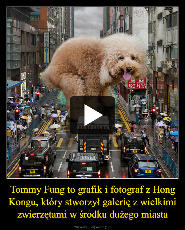 Tommy Fung to grafik i fotograf z Hong Kongu, który stworzył galerię z wielkimi zwierzętami w środku dużego miasta –  M45SeFromene sn pa**SURREALHKILGEstMaryHom$23 $125Day M82.60828111WHEMARTIAL200