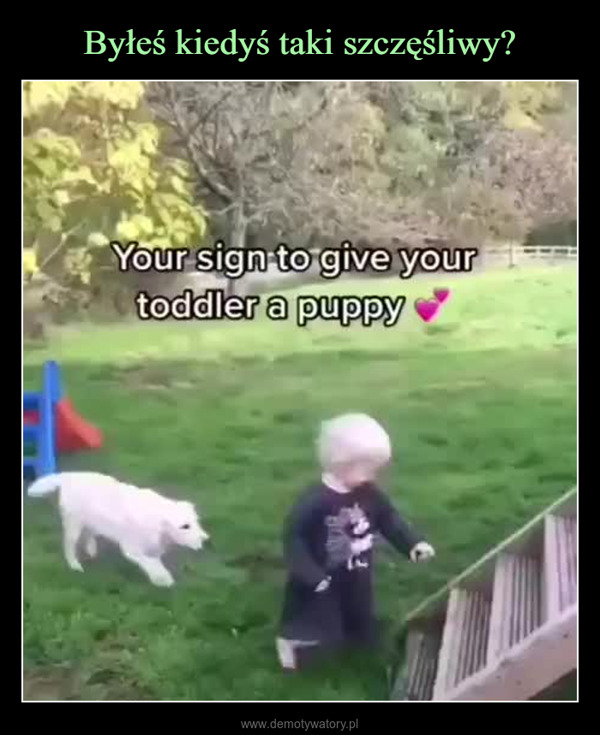  –  Your sign to give yourtoddler a puppy