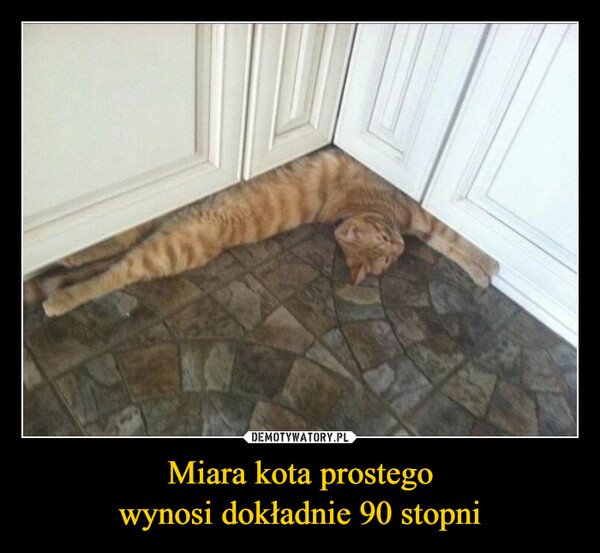 Miara kota prostegowynosi dokładnie 90 stopni –  