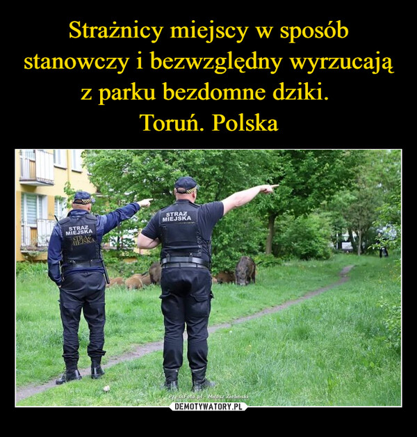  –  STRAZMIEJSKASTRAZMIEJSKAPressfoto.pl-Milosz Zieliński