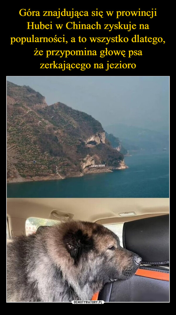  –  