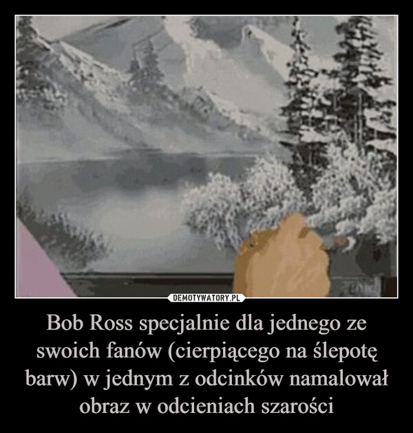 Bob Ross specjalnie dla jednego ze swoich fanów (cierpiącego na ślepotę barw) w jednym z odcinków namalował obraz w odcieniach szarości –  